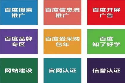 信息流广告投放公司：成功案例解析